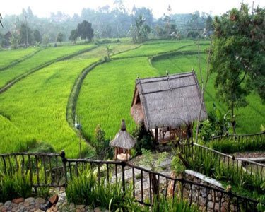 Bukit Air Resto