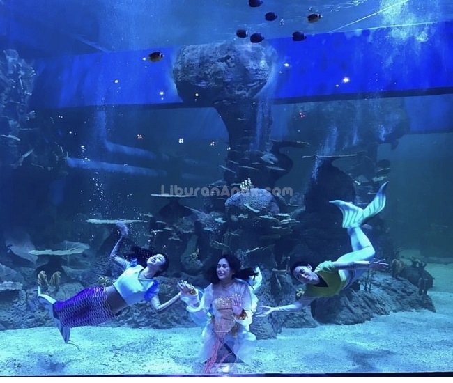 Jakarta Aquarium - Kids Holiday Spots - Liburan Anak ...