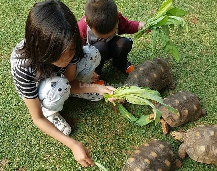 Pet Kingdom Alam Sutera - Kids Holiday Spots - Liburan Anak - Informasi