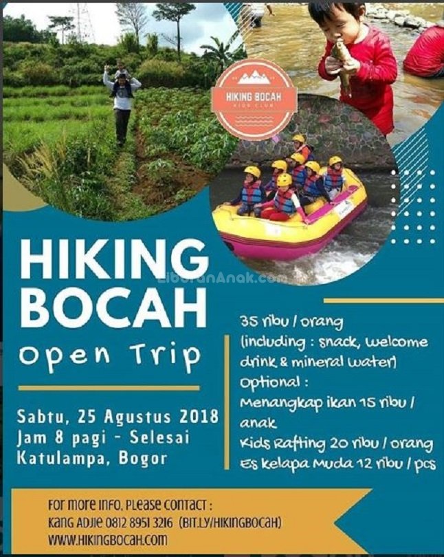 bamboo trekking pole