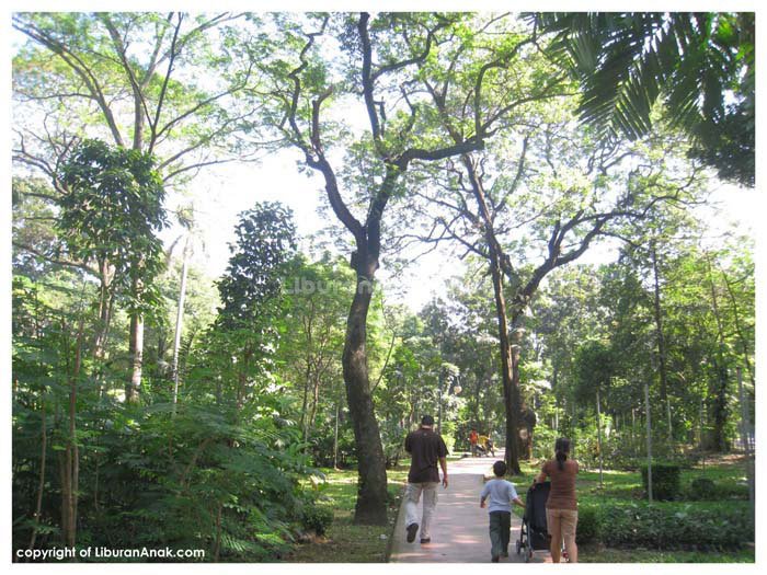 Hutan Kota Tebet - Kids Holiday Spots - Liburan Anak - Informasi