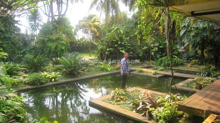 Godongijo Nursery