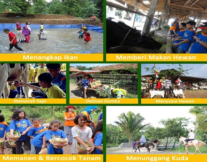 D'Kandang Amazing Farm