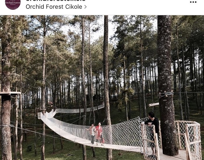 Orchid Forest Cikole