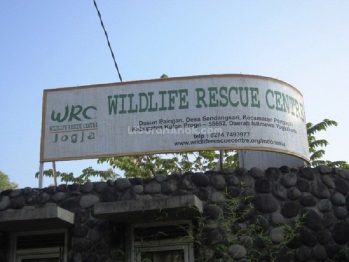 Wildlife Rescue Centre Jogja - Kids Holiday Spots - Liburan Anak