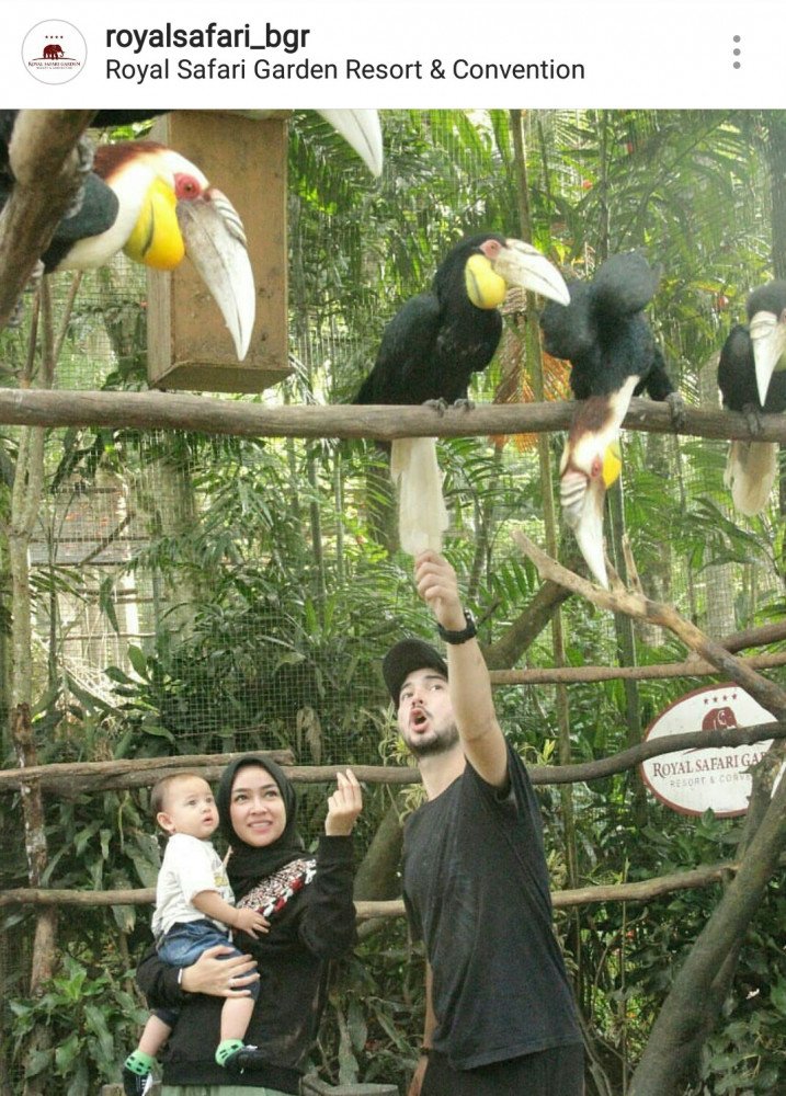 Royal Safari Garden Resort & Convention