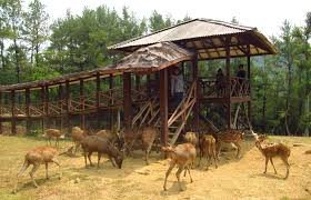 Penangkaran Rusa GiriJaya