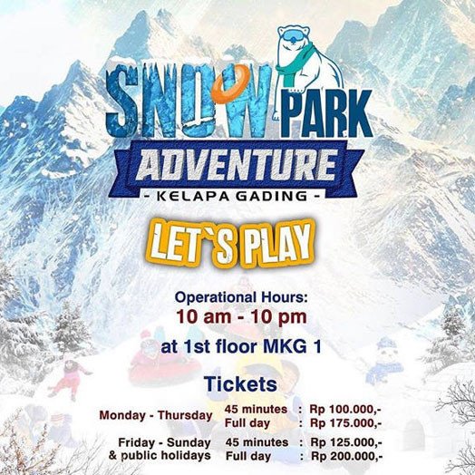 Snowpark Adventure
