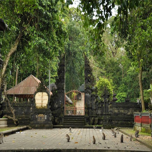 Alas Kedaton (Monkey Forest)