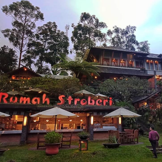 Rumah Stroberi