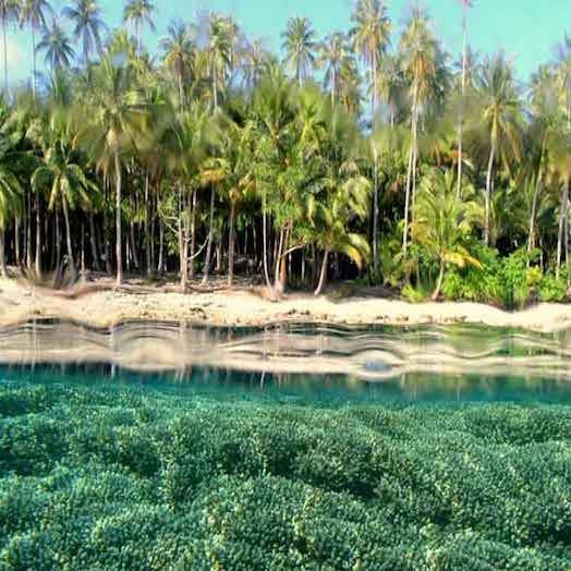Pulau Biak 