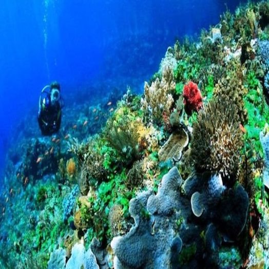 Taman Laut Taka Bonerate