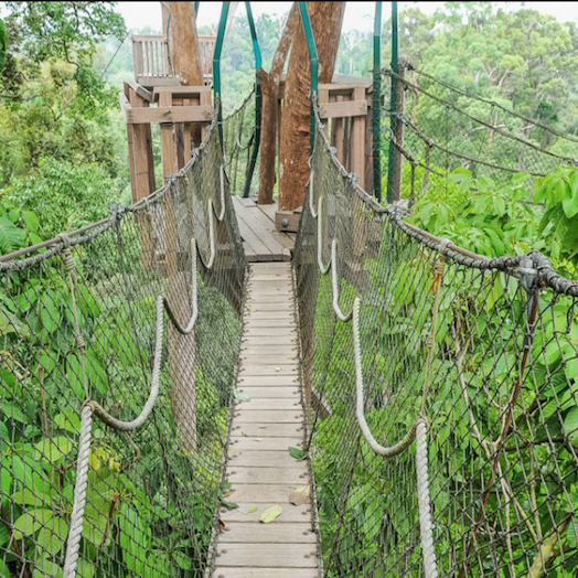 Bangkirai Hills Balikpapan