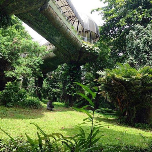 Schmutzer Primate Center